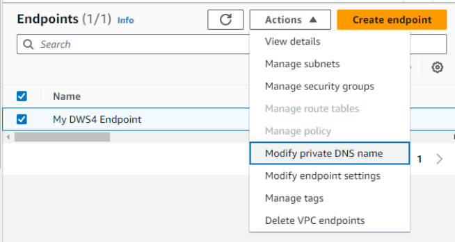 Modify Private DNS name